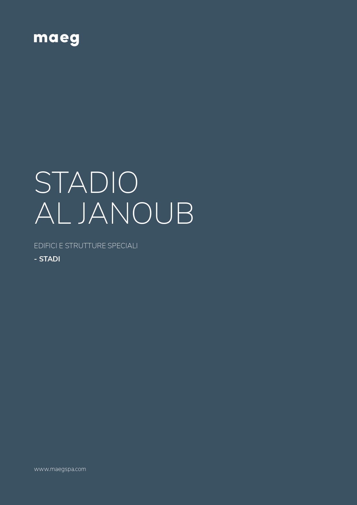 Al Janoub stadium